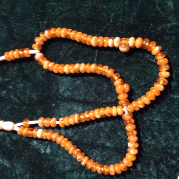 F-21 sea shell lot - Picture 4 of 7